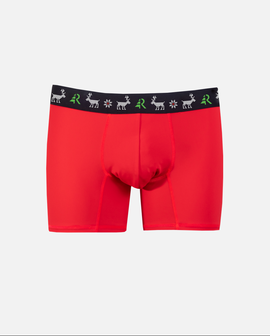 Boxer de Noël