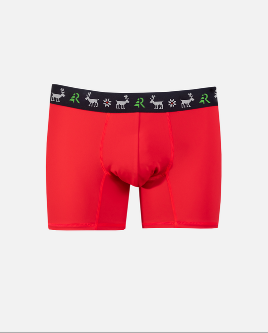 Boxer de Noël